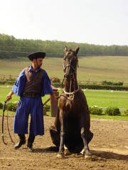 Godollo_Castle+Horse_Show_(13).jpg